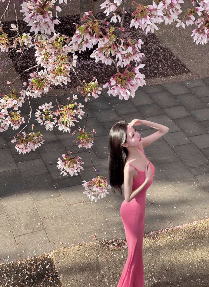 药屋少女的呢喃 封面