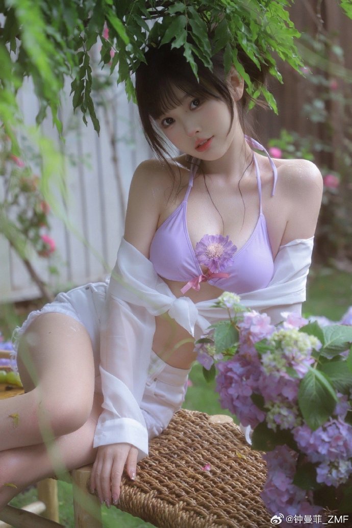 教父2